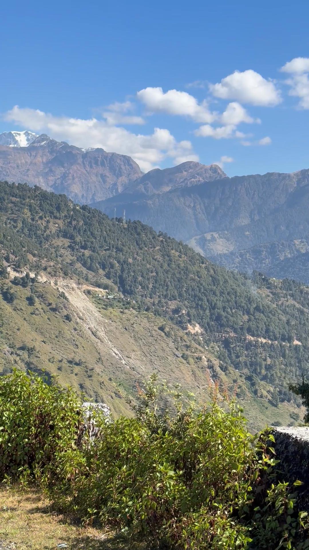 Pindari Homestay - Tap to explore photos