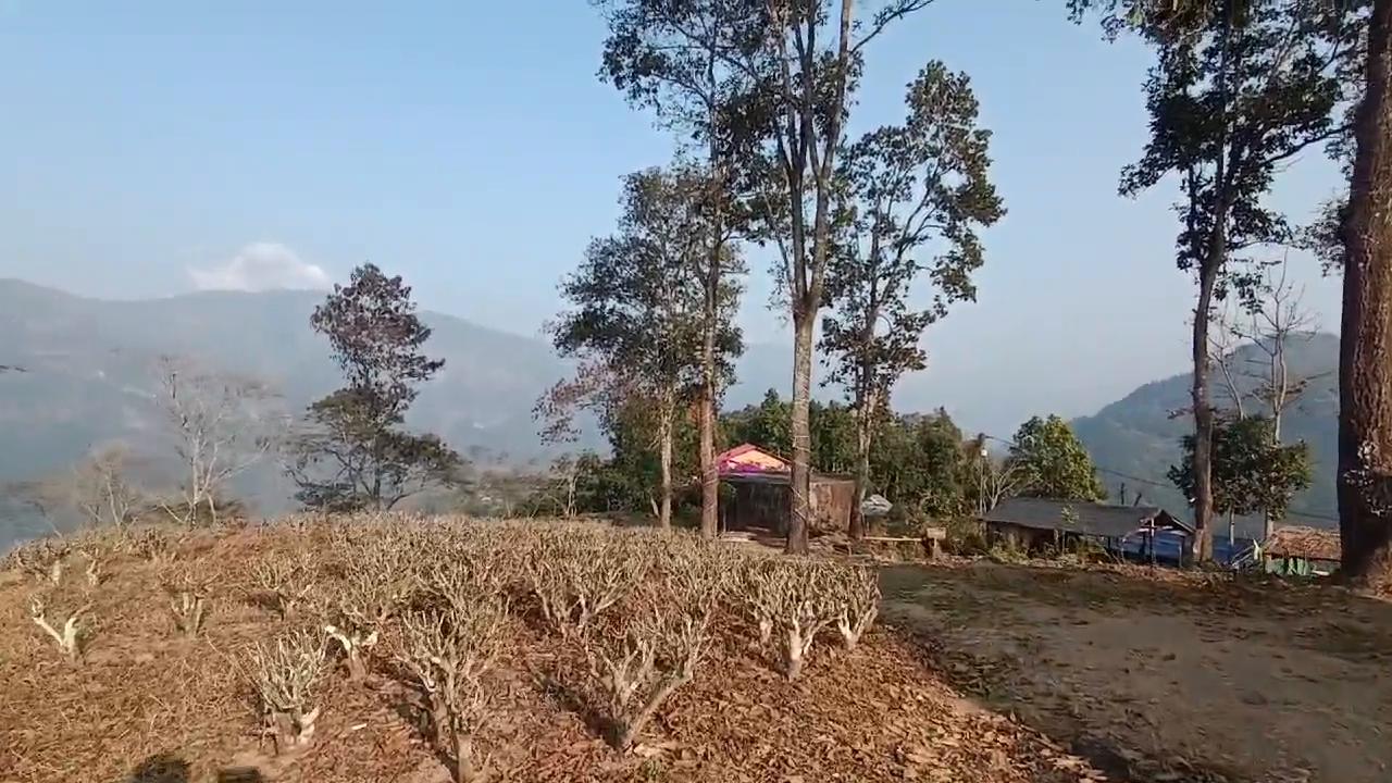 Himali Dara - Tap to explore photos