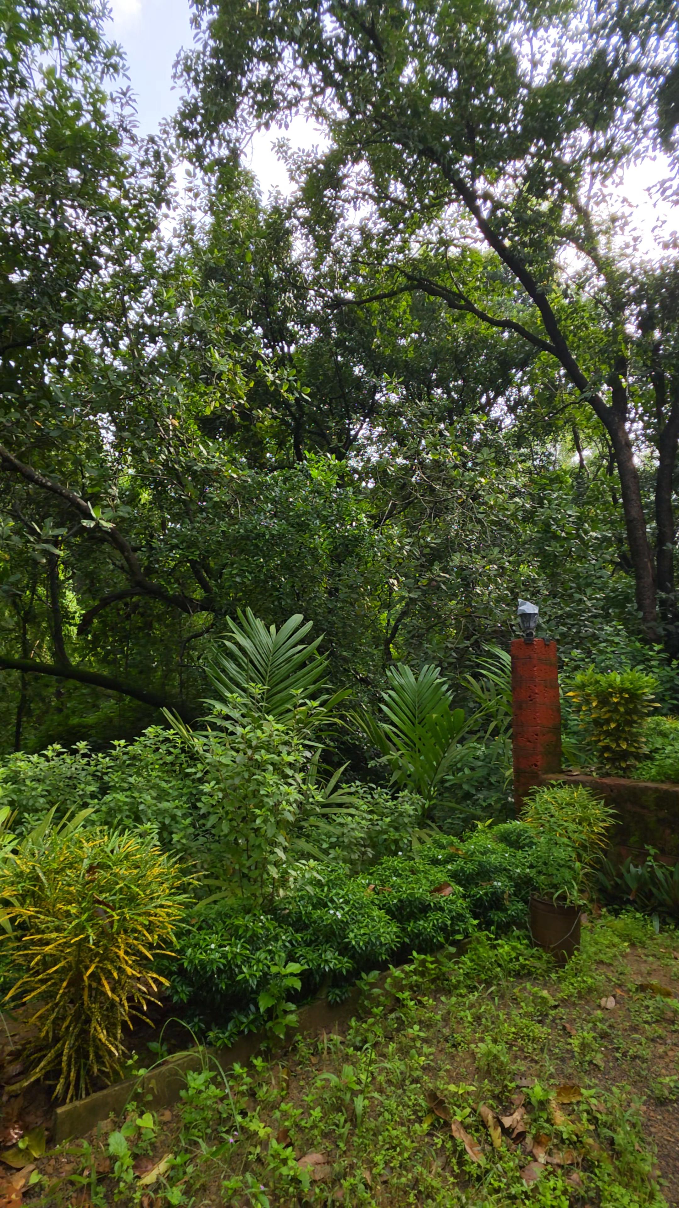 Satyaprabha Cottage Rooms - Tap to explore photos