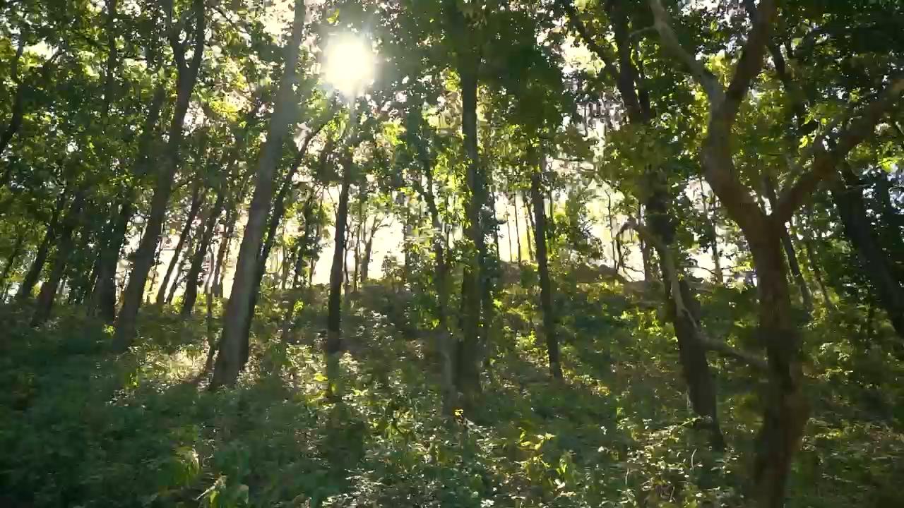 Club Mahindra Patkote, Corbett - Tap to explore photos