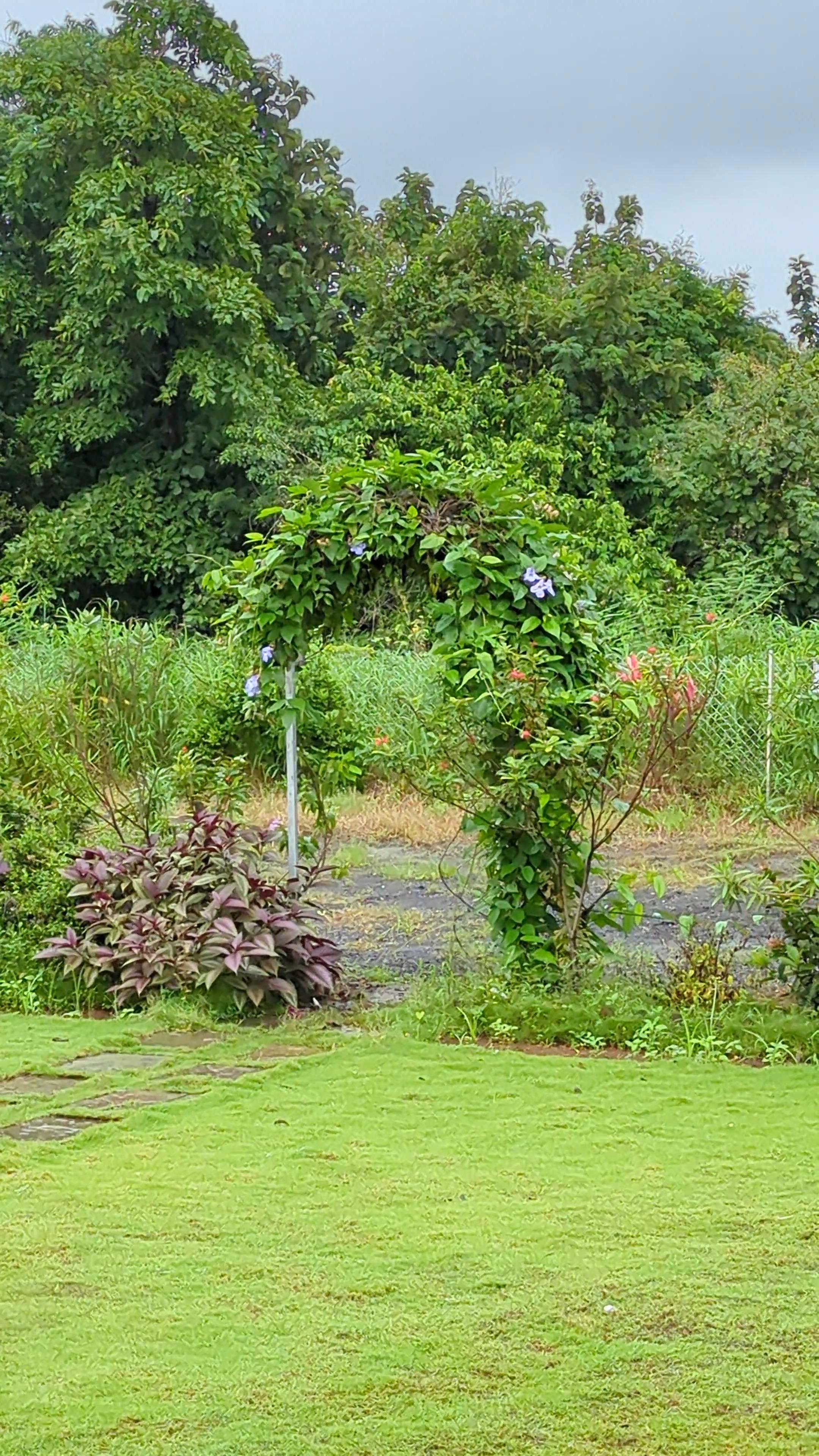 Farm Story - 3BHK Farmhouse Villa - Tap to explore photos