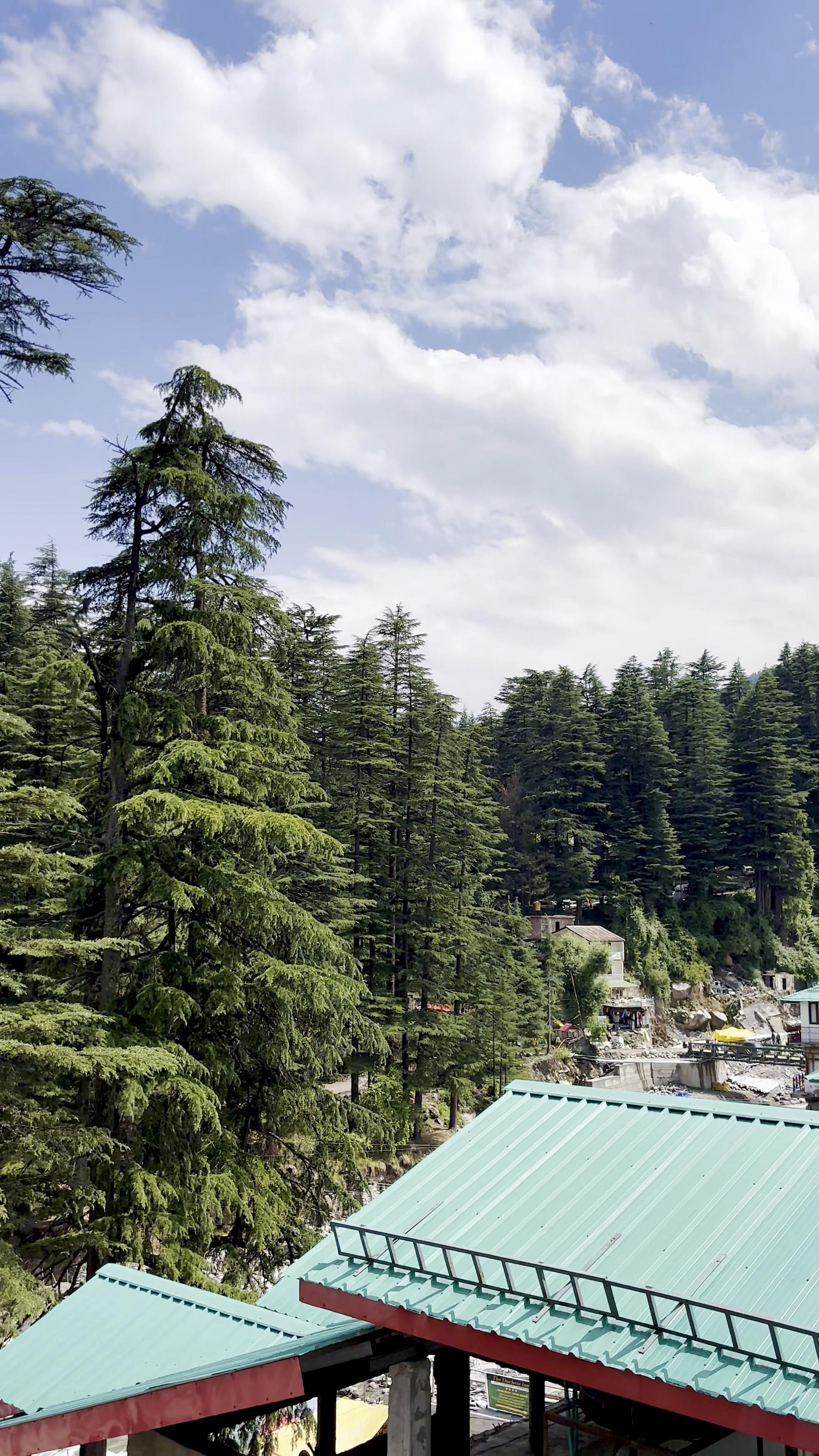 Shanti Cafe - Signature Stays Manali - Tap to explore photos
