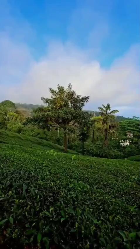 LAAS VILLA VAGAMON - Tap to explore photos