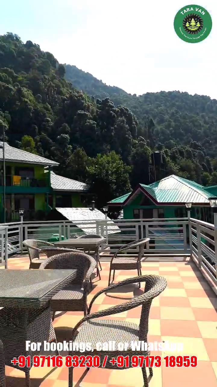 Tara Van - Best Mountain View Hotel in Dharamkot - Tap to explore photos