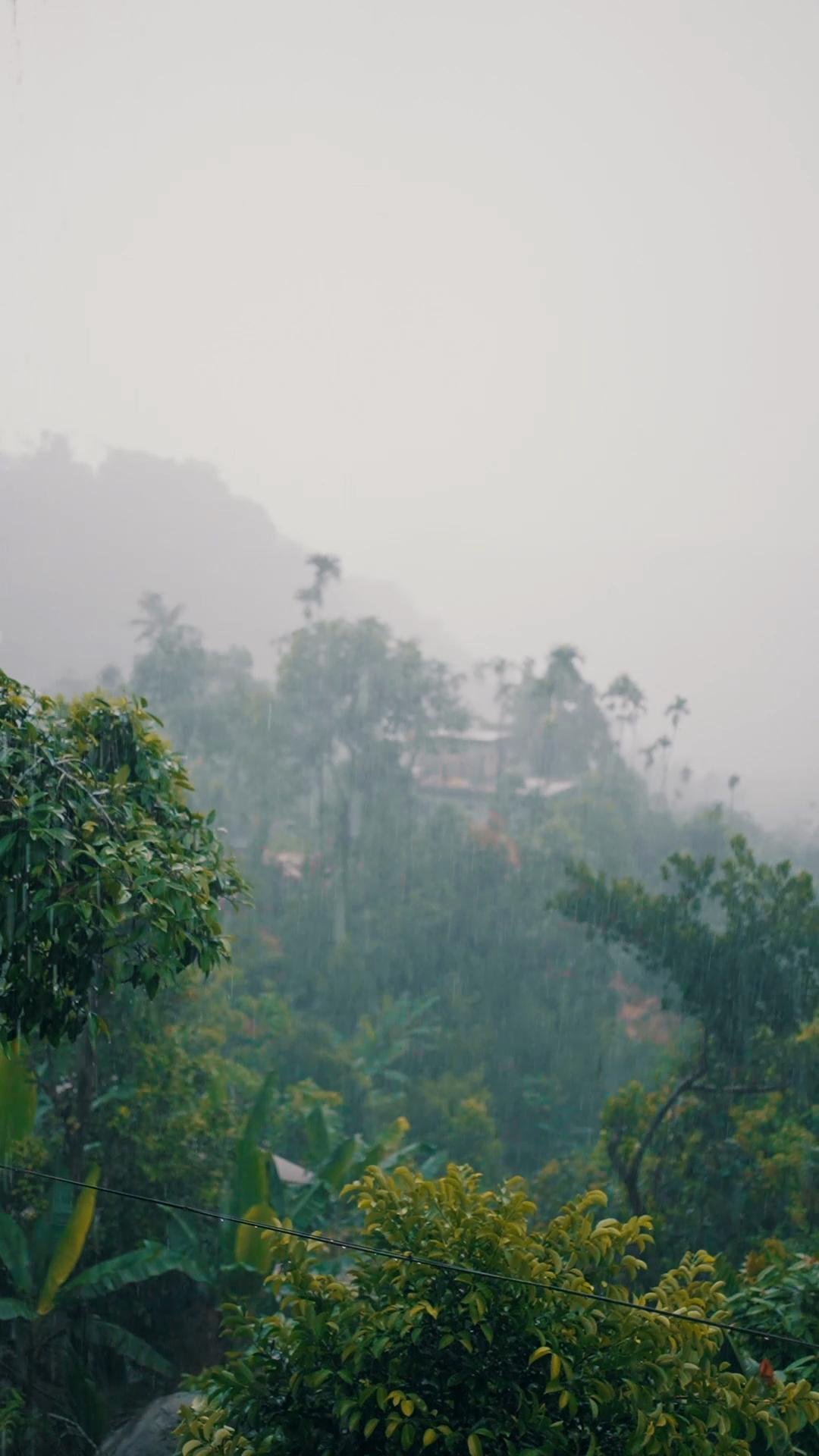 Sanketham Resort - Tap to explore photos
