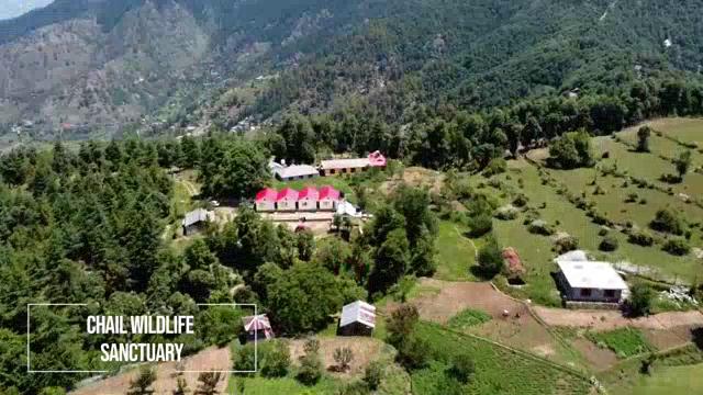 The Hideaway Chail - Tap to explore photos