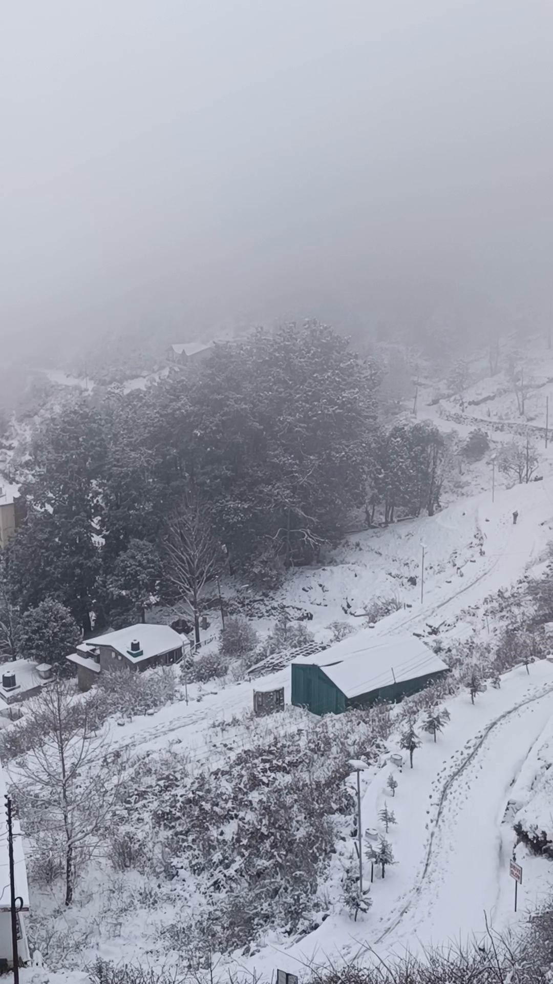 Himalaya view Homestay - Tap to explore photos