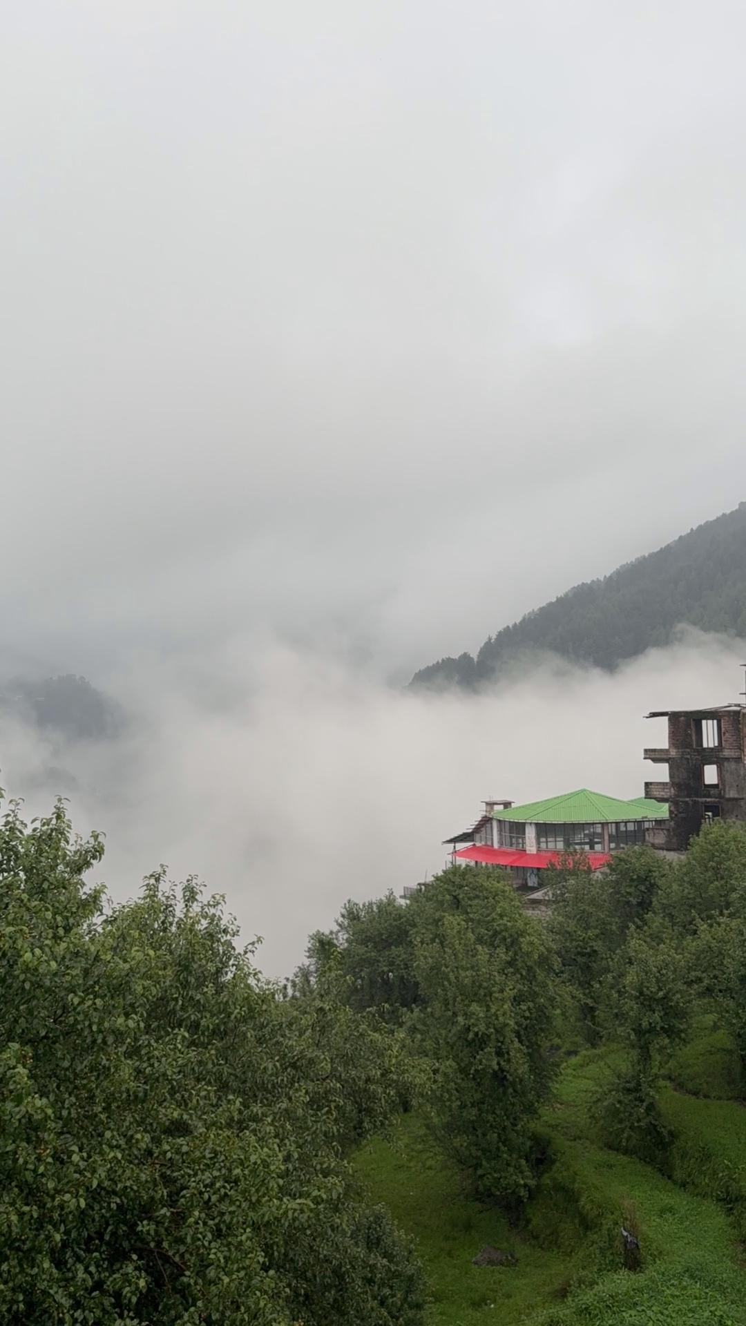 Wisechild Homestay in Naddi - Tap to explore photos