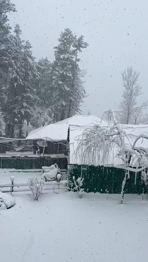 Hotel Mountain Peaks Pahalgam - Tap to explore photos