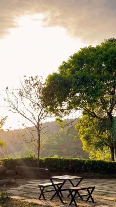 Thottam Farmstay - Tap to explore photos