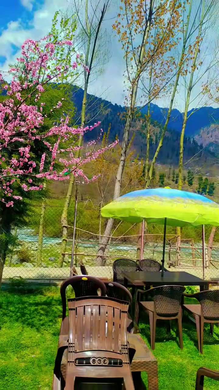 Dream River Pahalgam - Tap to explore photos