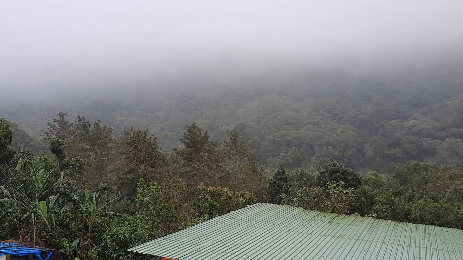 Kotian Guest House, Coorg - Tap to explore photos