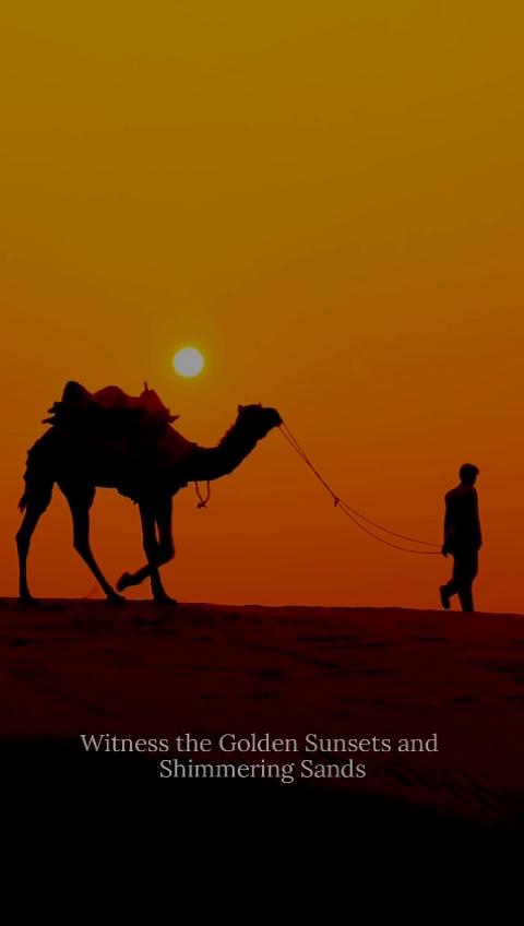 Shri Ram Desert Camp Jaisalmer - Tap to explore photos