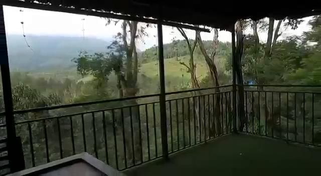 Planet Green Plantation Resort - Tap to explore photos