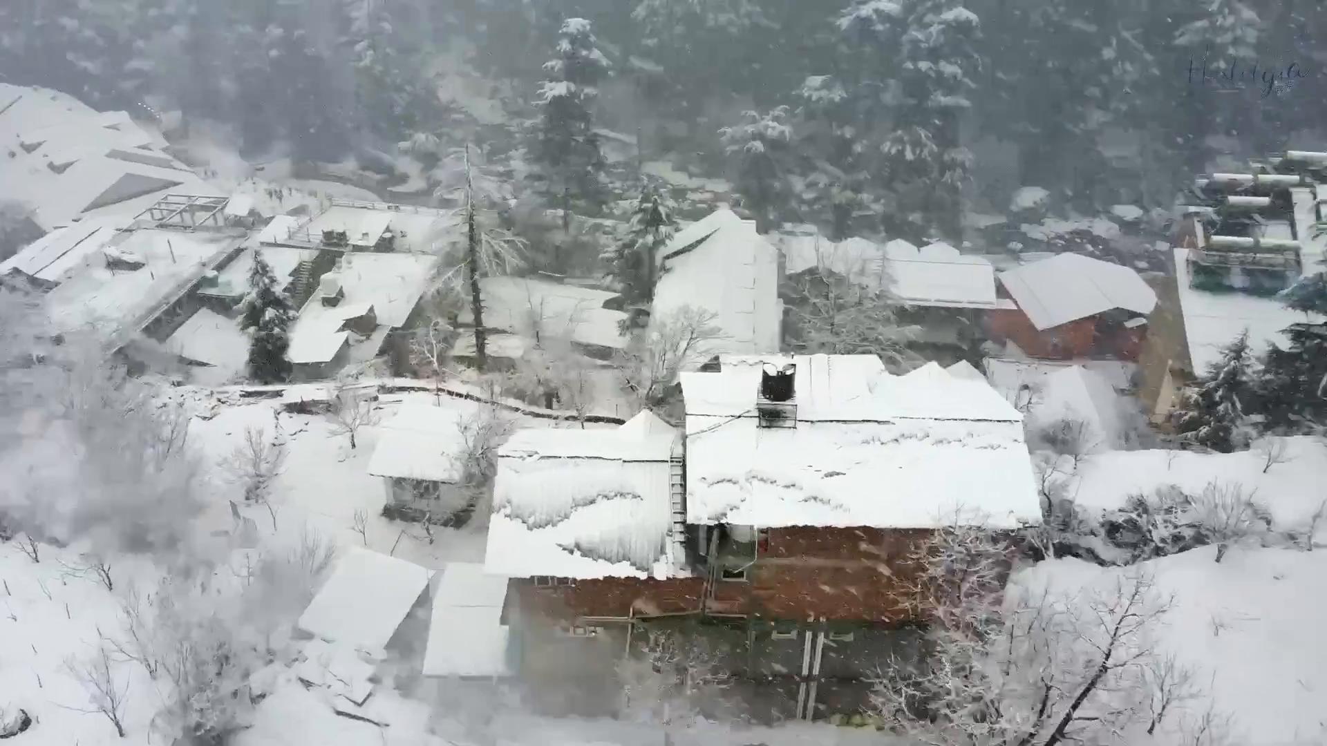 Hostelgia - Tap to explore photos