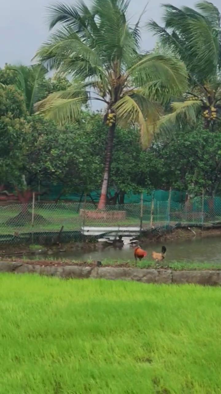 Shree Samarth Farmhouse - Tap to explore photos