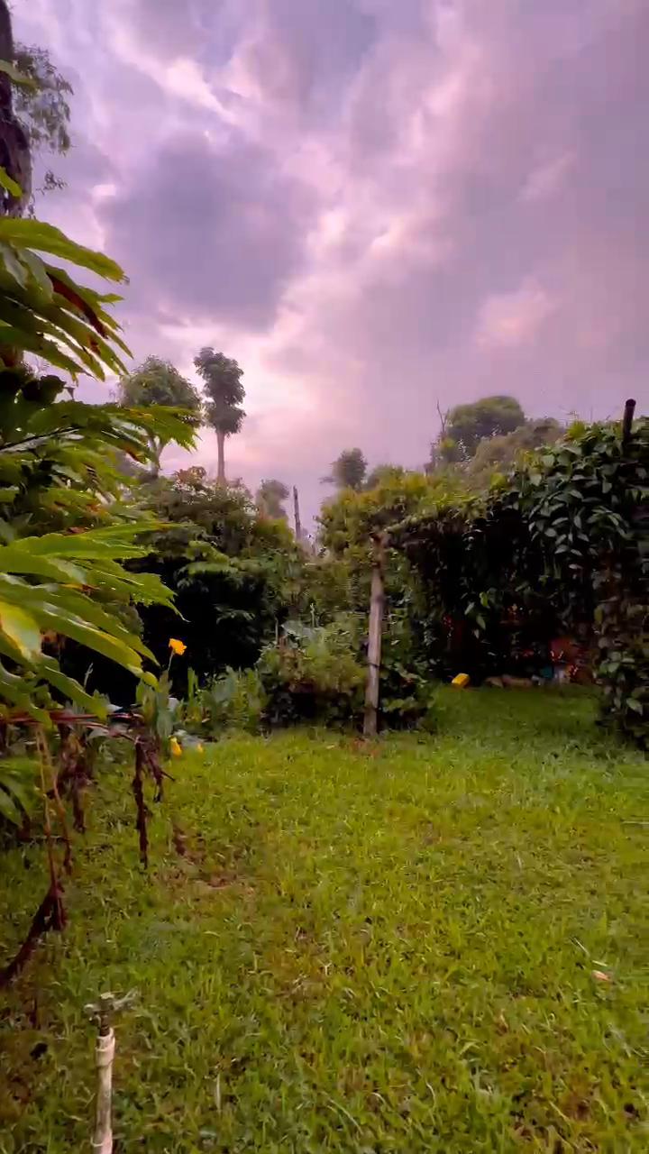 Girikarnika Homestay - Tap to explore photos