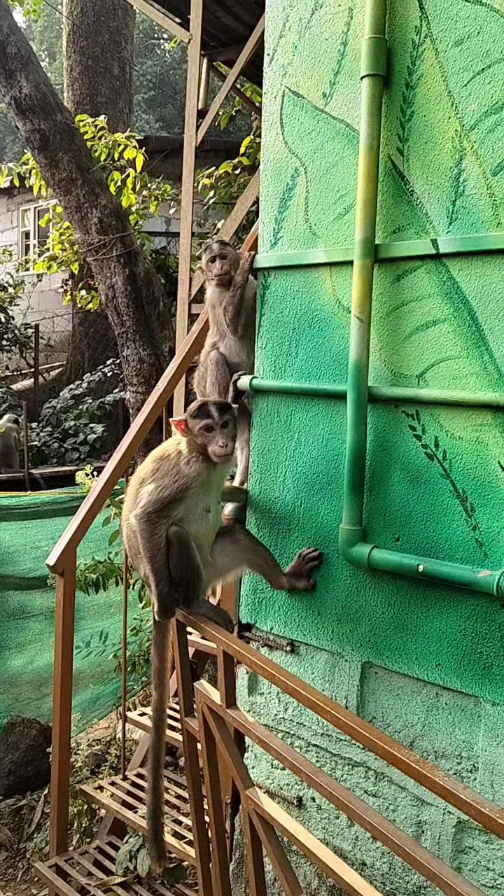 Swamini Nivas Matheran - Tap to explore photos