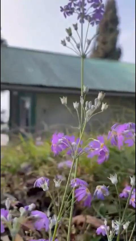 Guest-Beds Homestay - Tap to explore photos