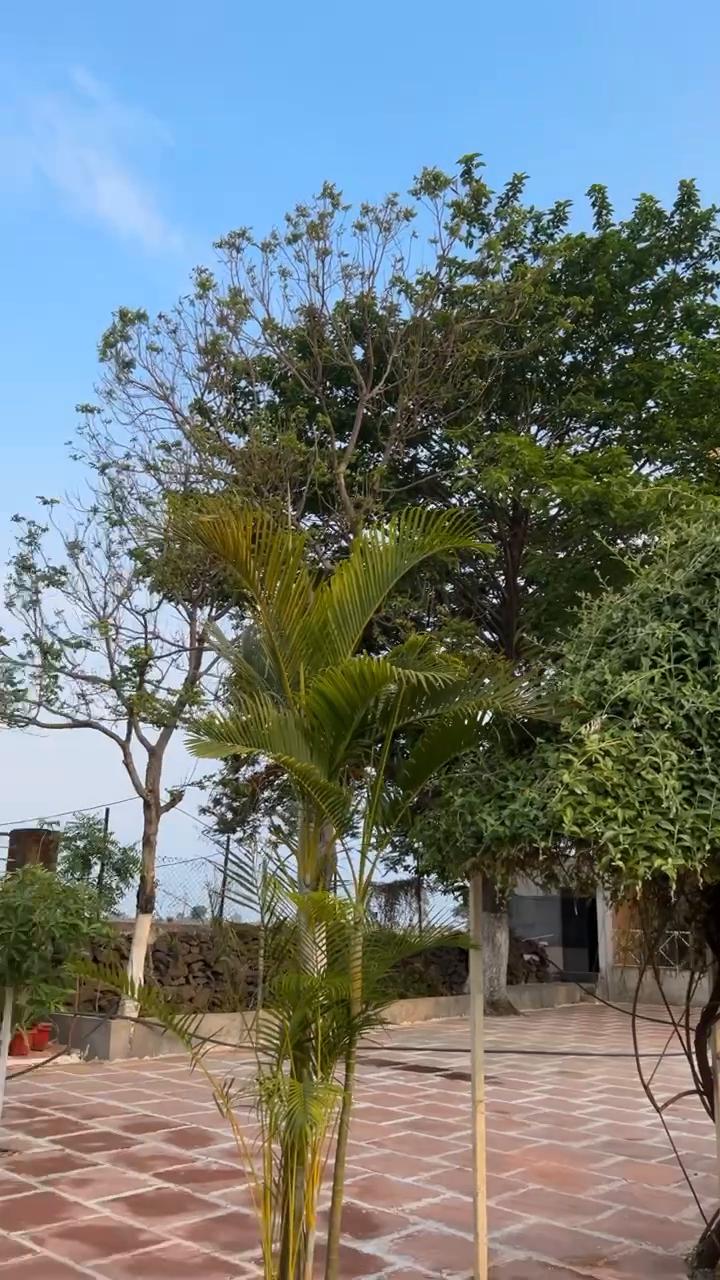 Holiday Homes & Resort - Tap to explore photos