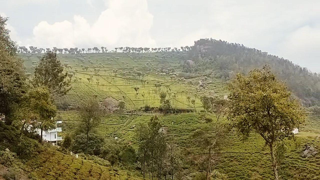 Nest Valley Kotagiri - Tap to explore photos