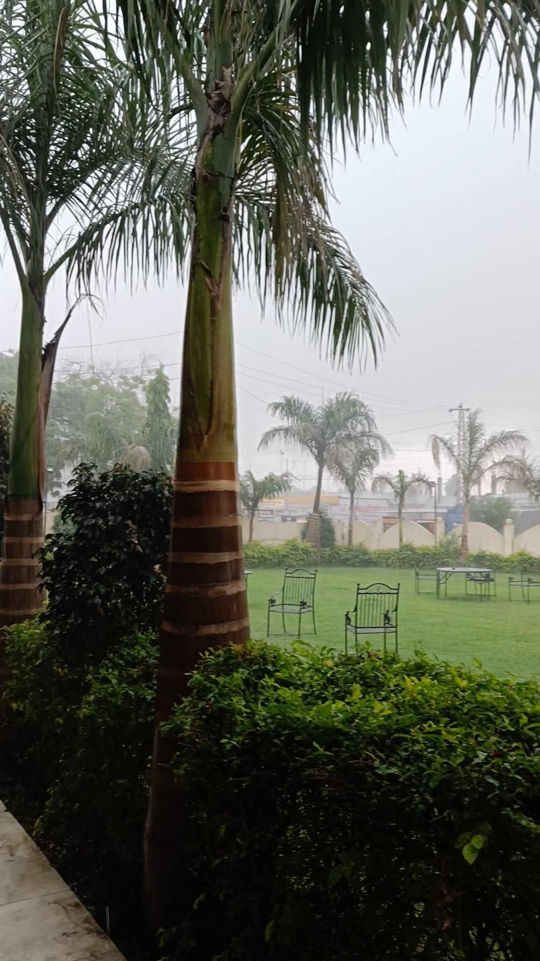 Amrit Bagh - Tap to explore photos