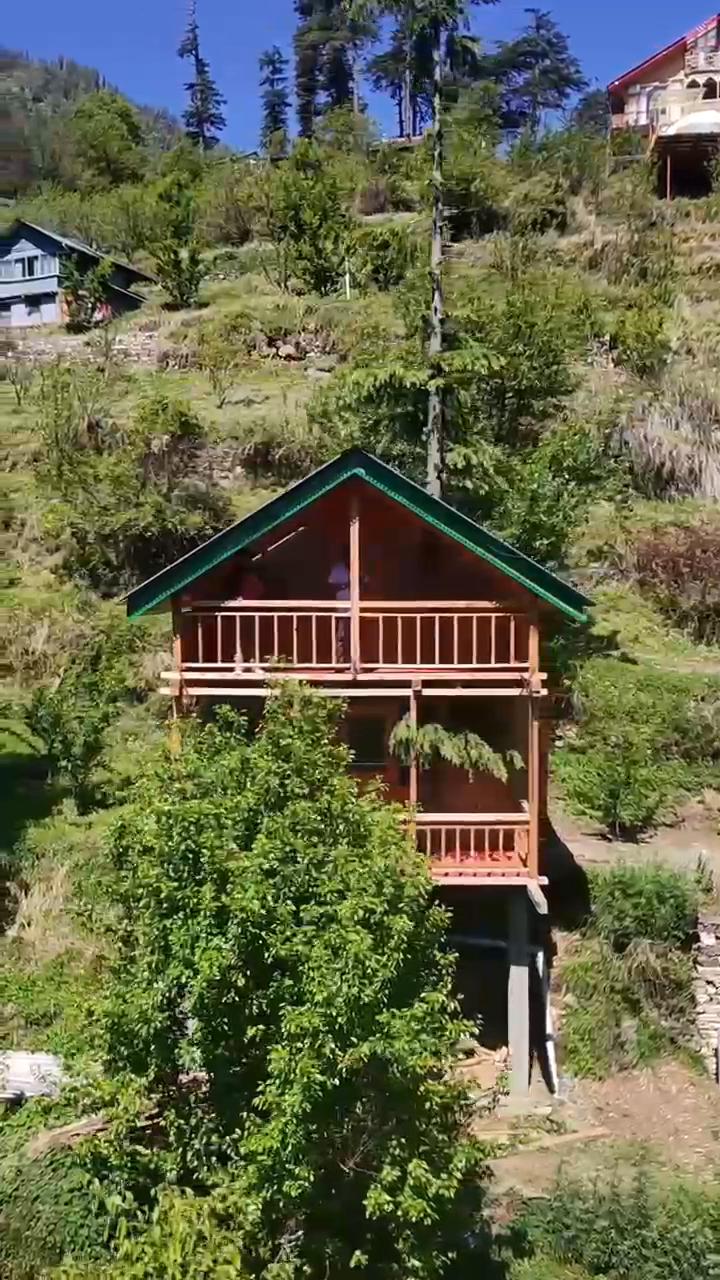 Dreamwood Treehouse - Tap to explore photos