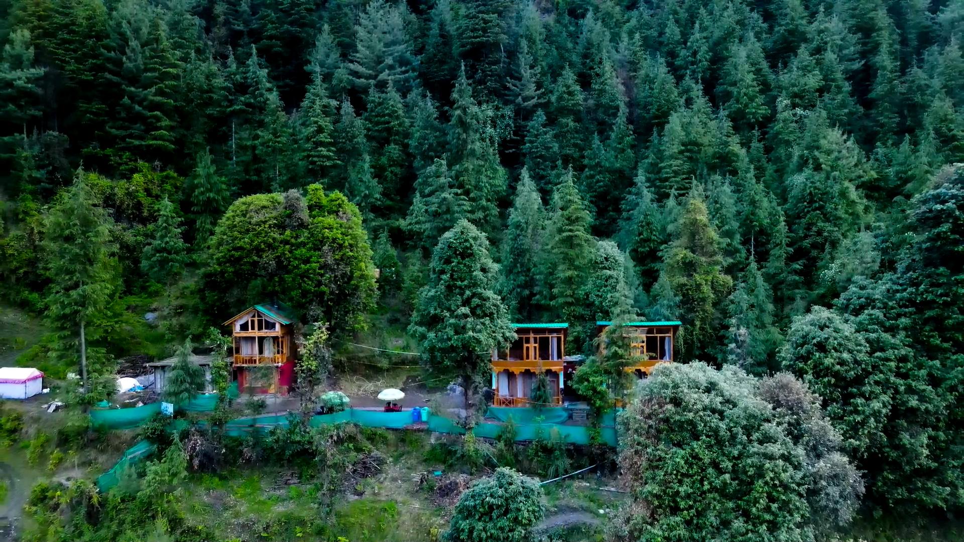 WOW Duplex Treehouse - Tap to explore photos