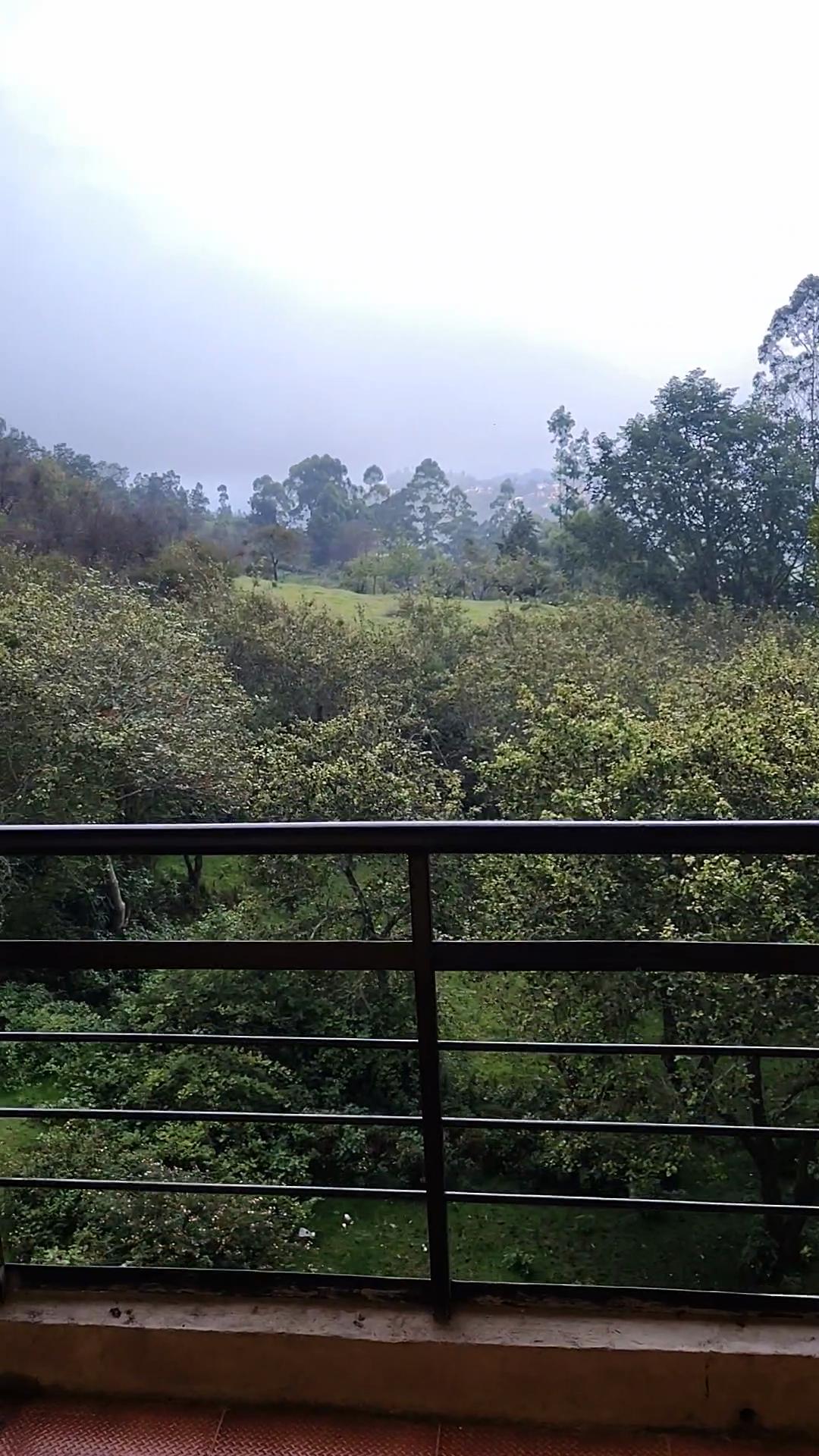 Kodai cloudy Mist Rooms - Tap to explore photos