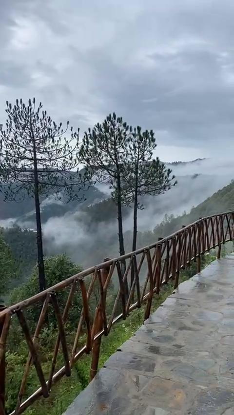 Hadley Inn Cottages Chail - Tap to explore photos