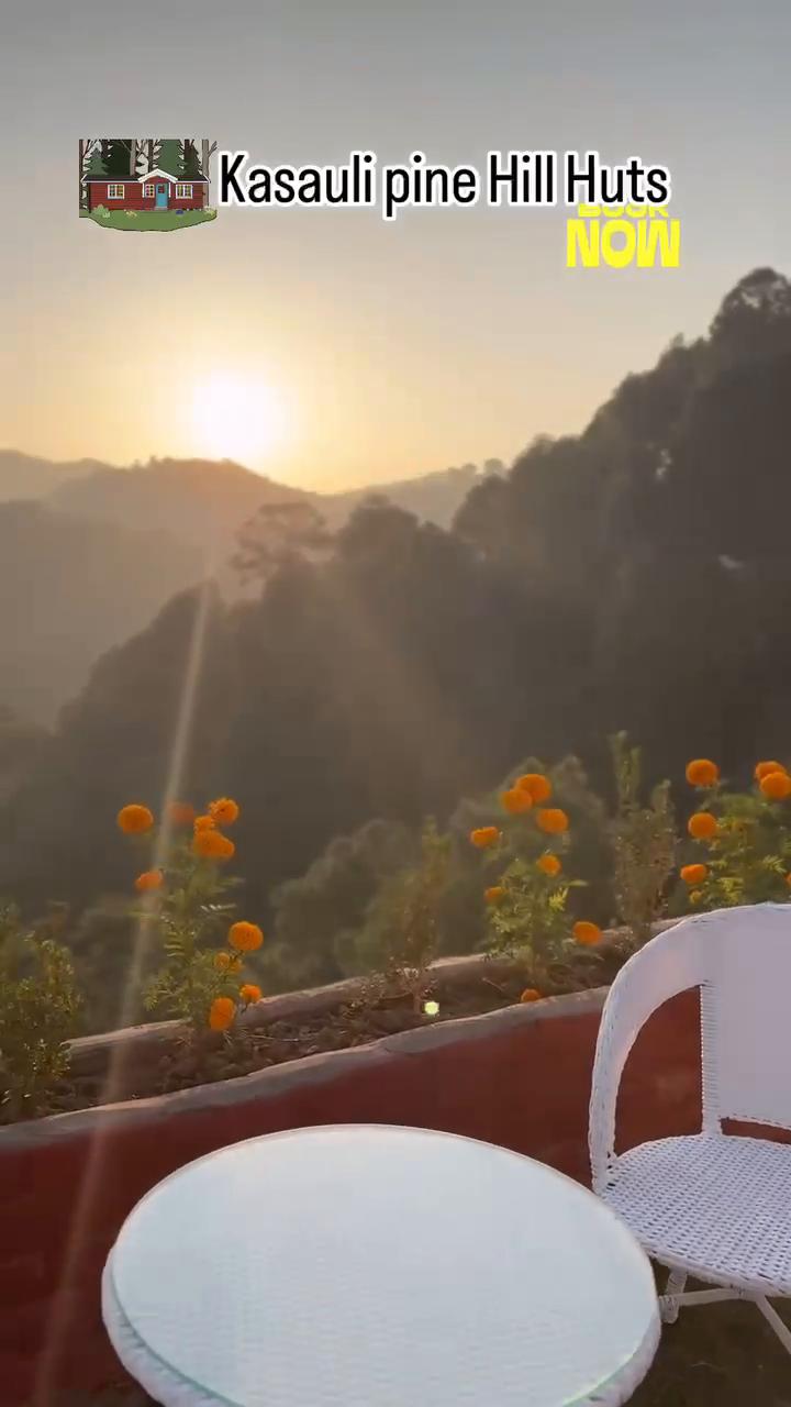 Kasauli Pine Hills - Tap to explore photos