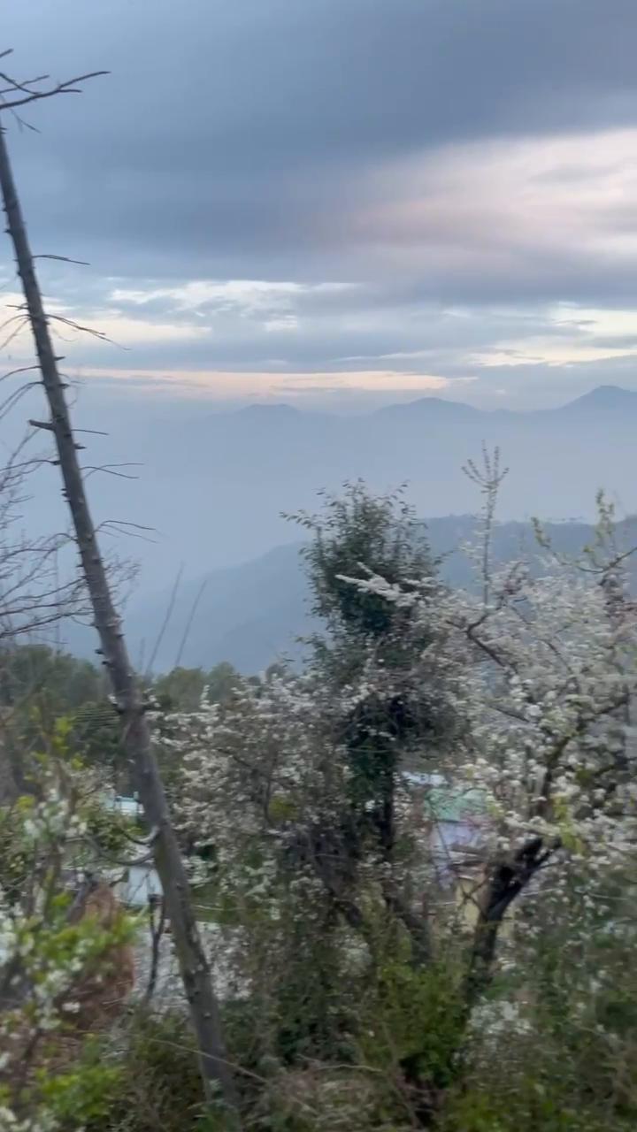 Manaskhand Homestay  Naini Majkhali - Tap to explore photos