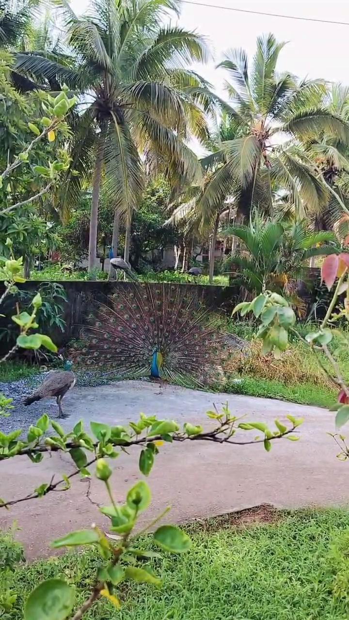 Darpana Homestay - Tap to explore photos