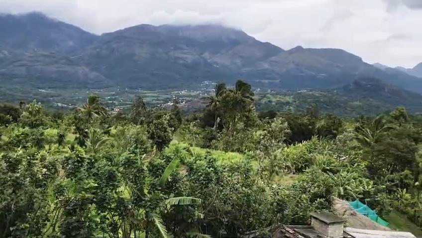 Palm View Homestay Kanthalloor - Tap to explore photos