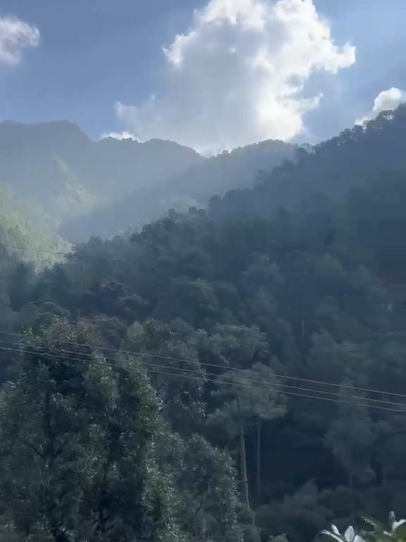TARA HOMESTAY - Tap to explore photos