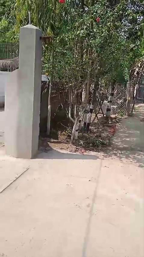 Kaziranga Rhino Guest House - Tap to explore photos