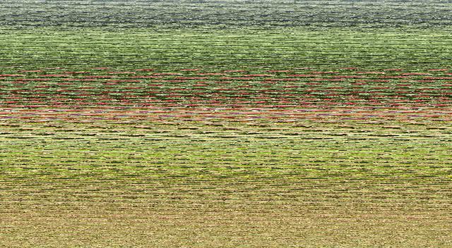 Nagarane Homesaty - Tap to explore photos