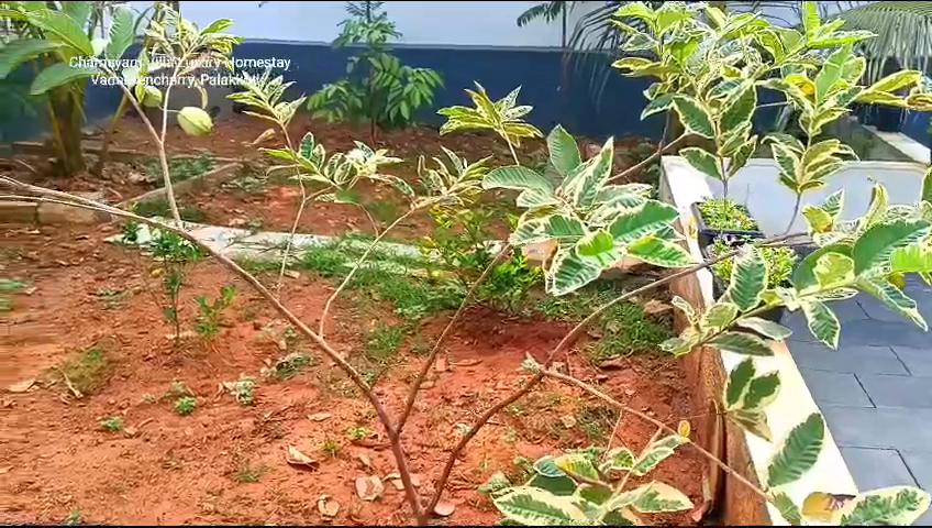 Chamayam Villa Luxury Home stay - Tap to explore photos