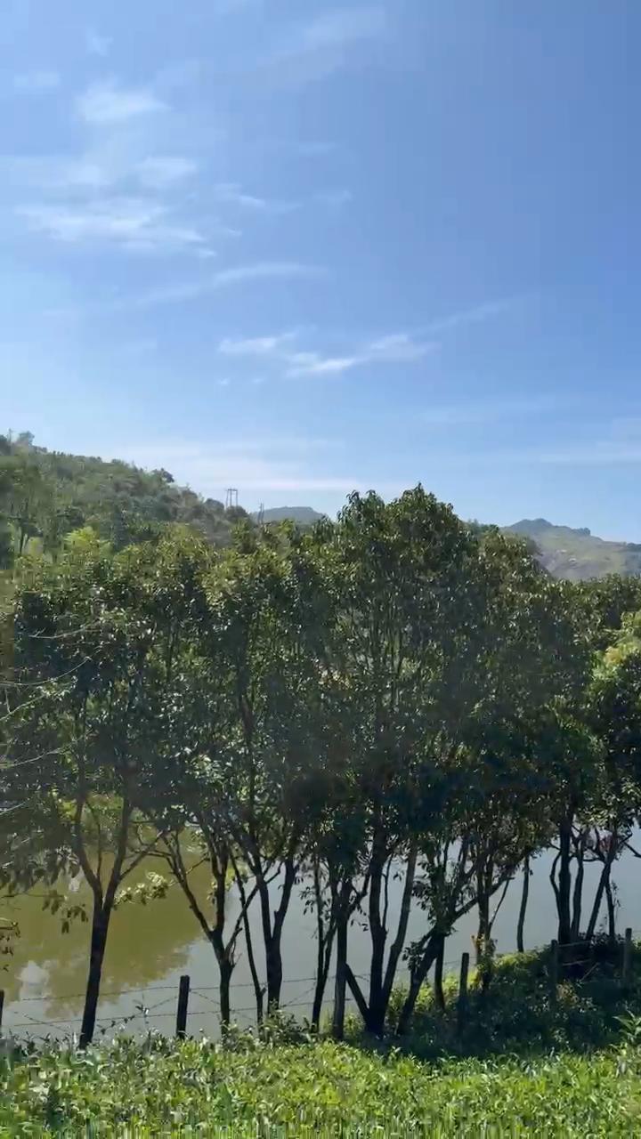 Anoki Resorts and Reasturant - Tap to explore photos