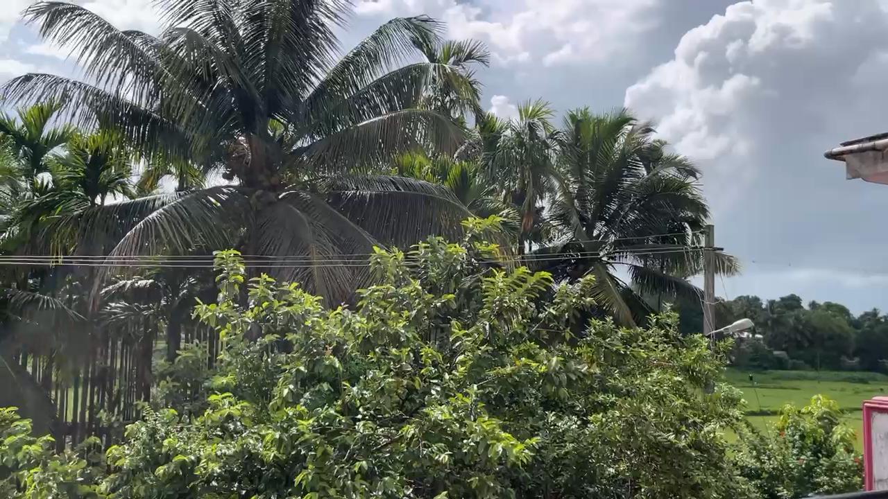 Green View Nest Home Stay - Tap to explore photos