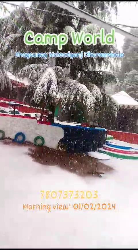 Camp World Dharamshala - Tap to explore photos