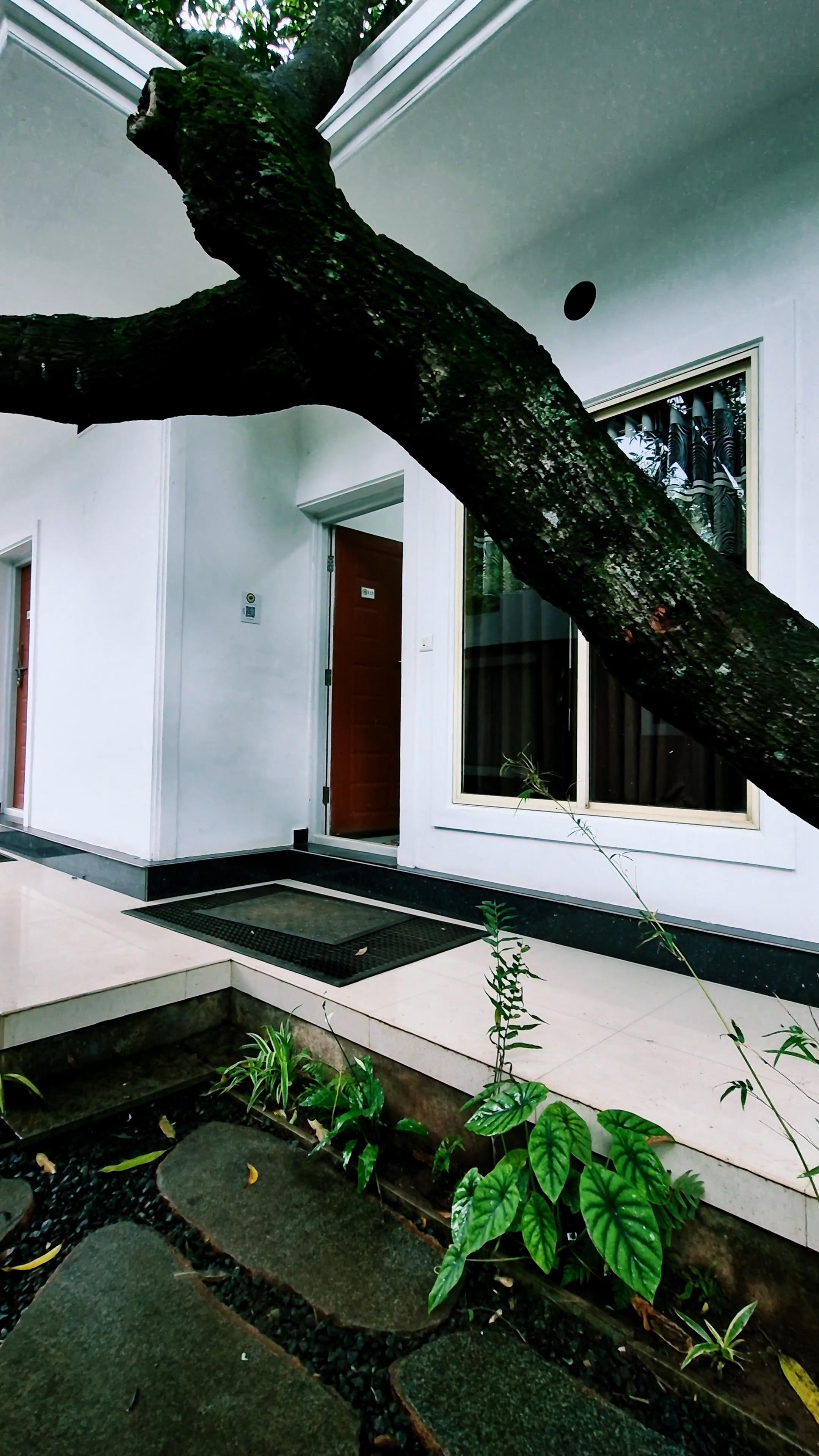 Marayoor Holidays | Rooms & Restaurant - Tap to explore photos