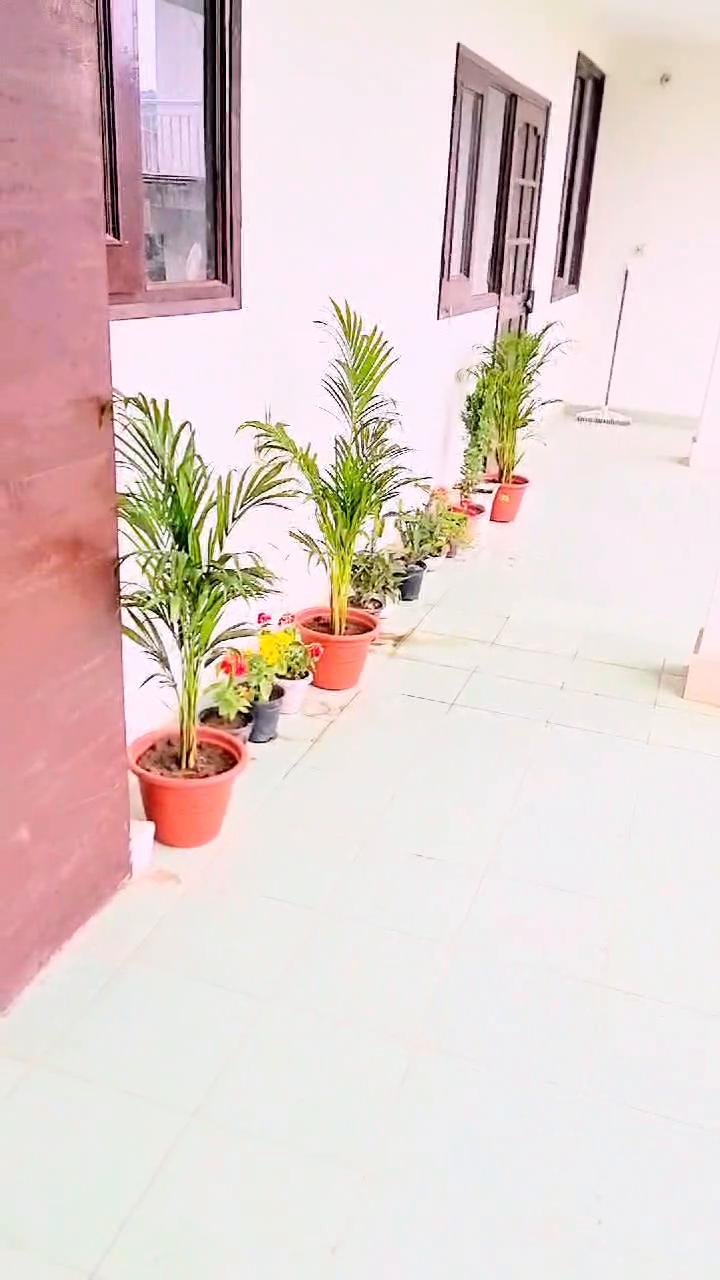 PARAKEET COTTAGE - Tap to explore photos