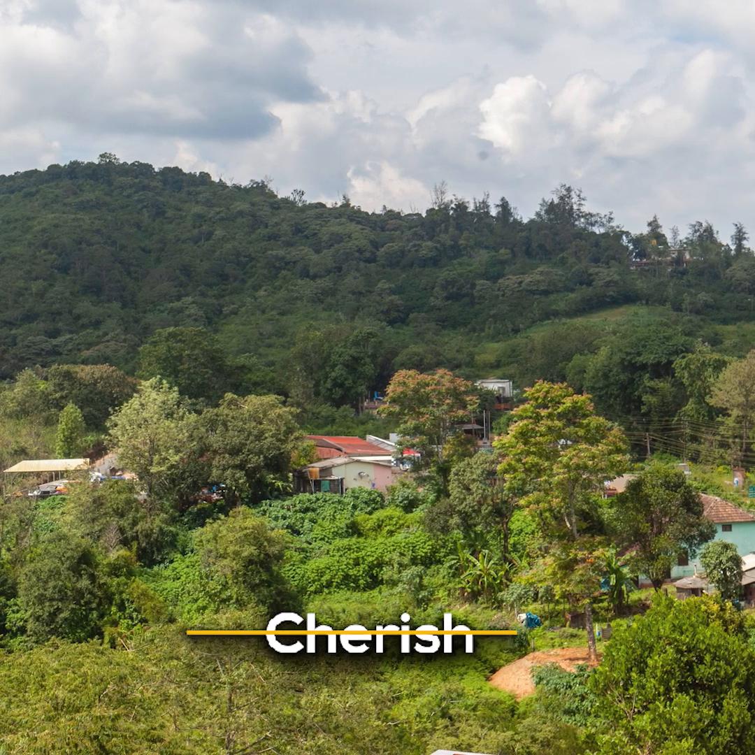Treebo Vrindavan, 3 Km From Madikeri Fort - Tap to explore photos