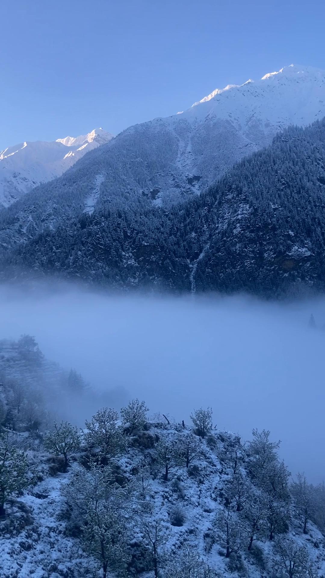 Sangla valley venture - Tap to explore photos