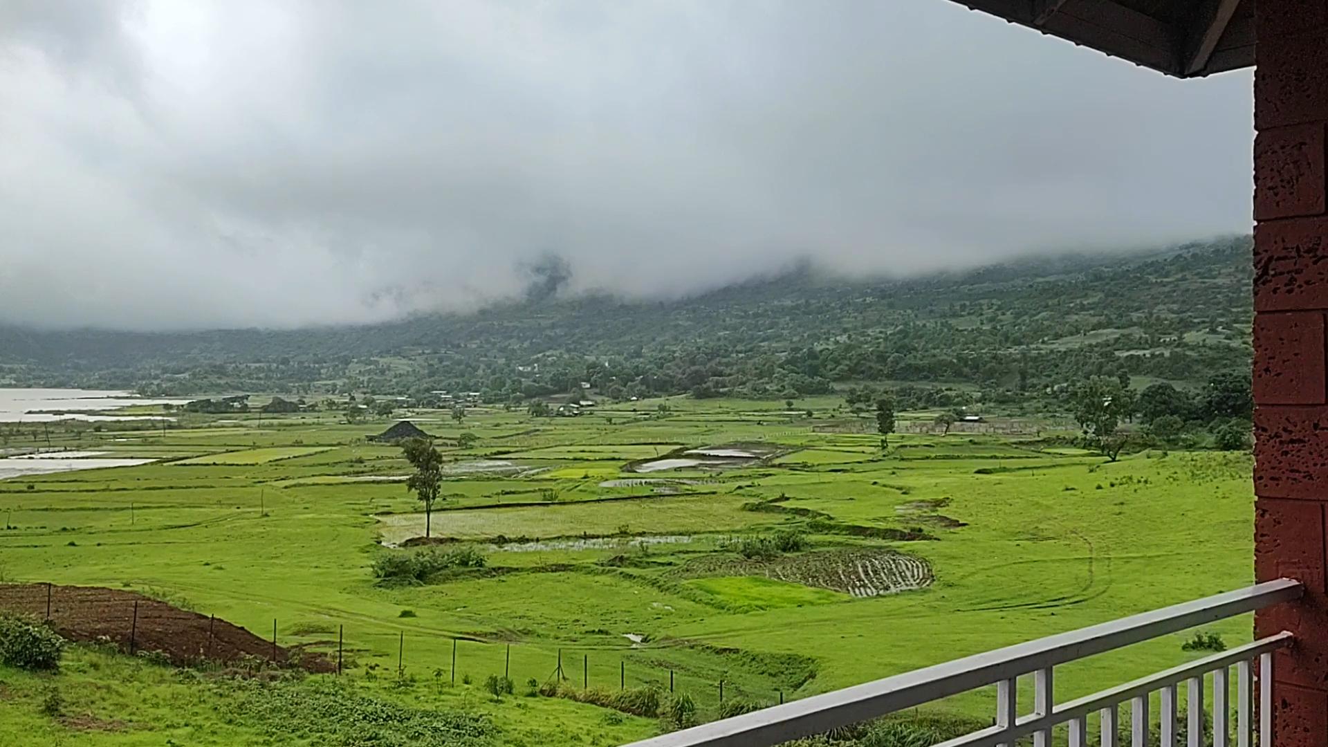 Vaisa Agro Tourism - Tap to explore photos