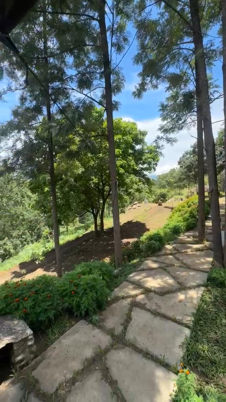 Deshadan Jungle Resort - Tap to explore photos