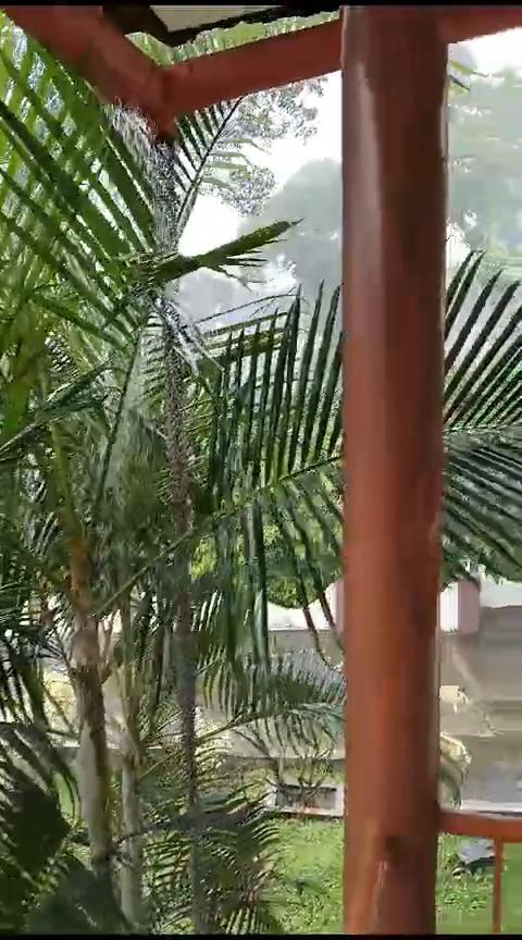 Estate Stayin Coorg - Tap to explore photos