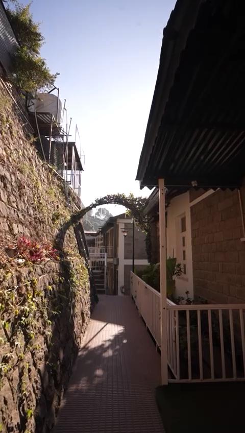Blossom Resort Kasauli - Tap to explore photos