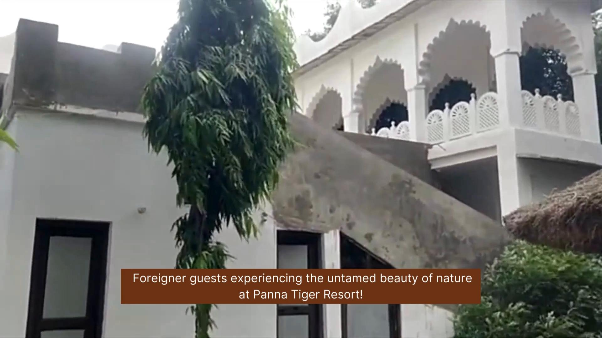 Panna Tiger Resort - Riverside Property - Tap to explore photos